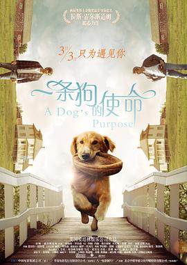 久久精品国产亚洲aa